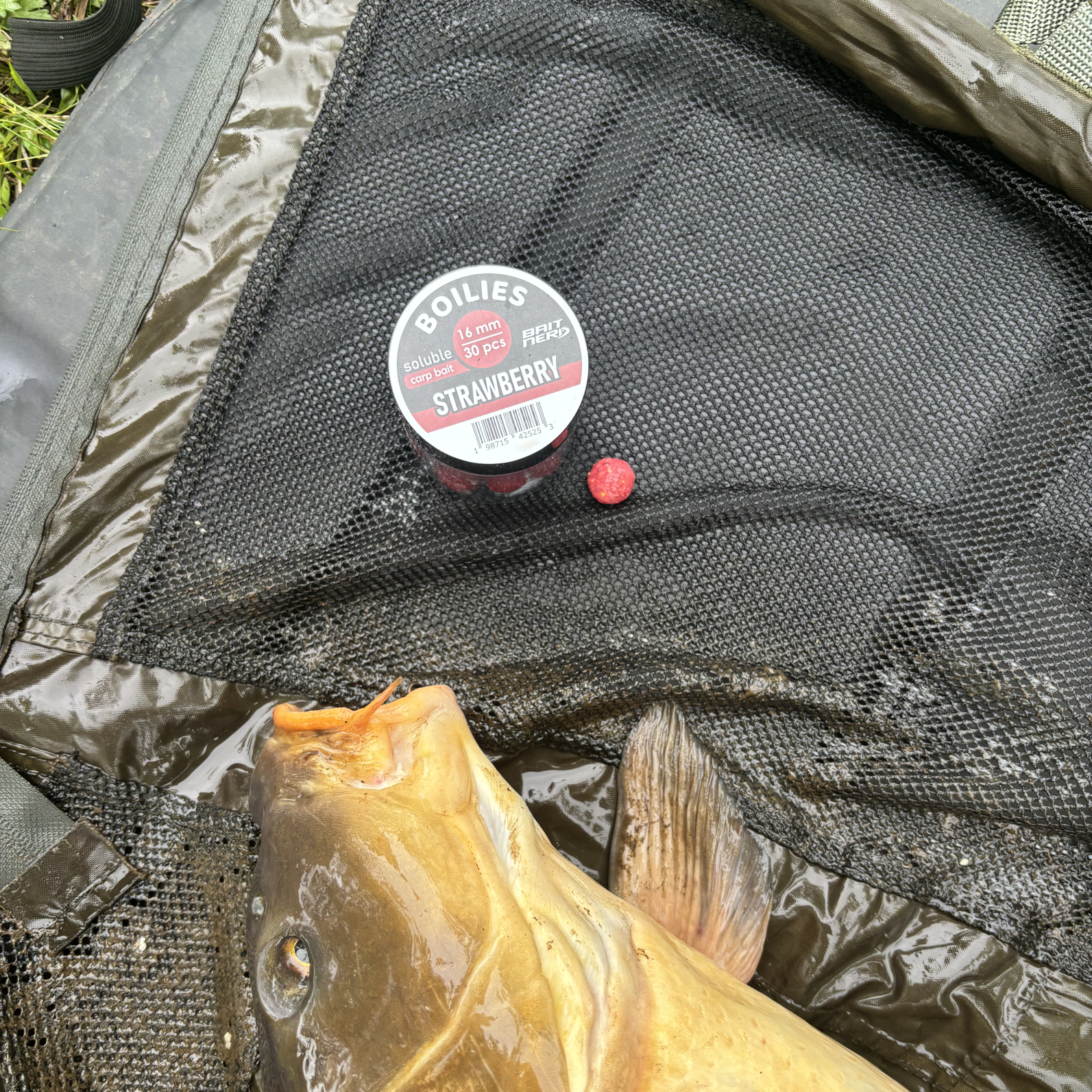 Soluble Bottom Boilies - Image 8