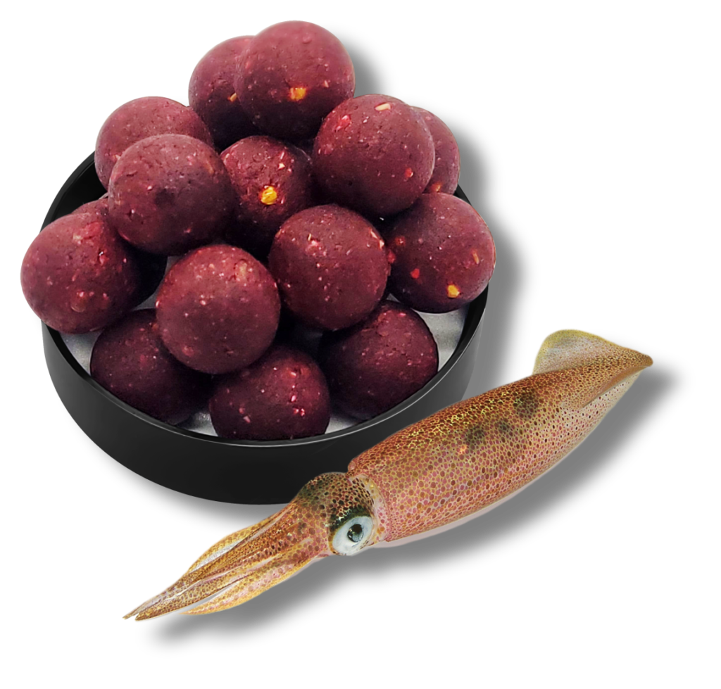16mm squid flavor